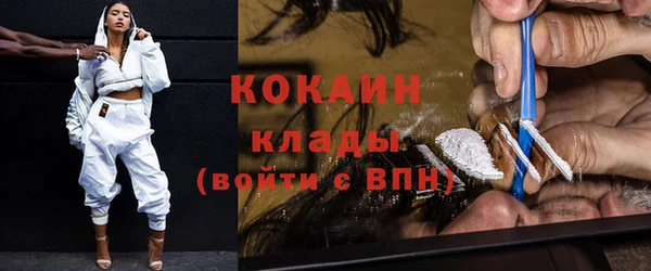 индика Арсеньев