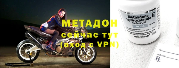 индика Арсеньев