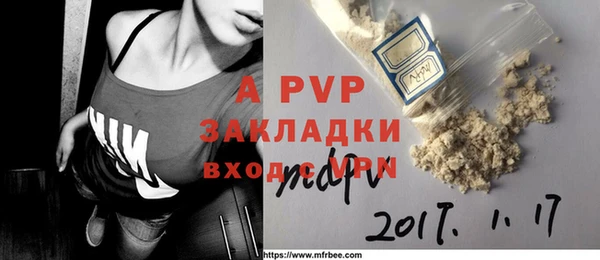 индика Арсеньев
