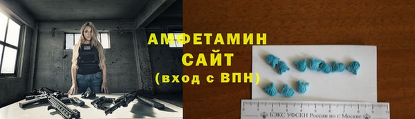 индика Арсеньев