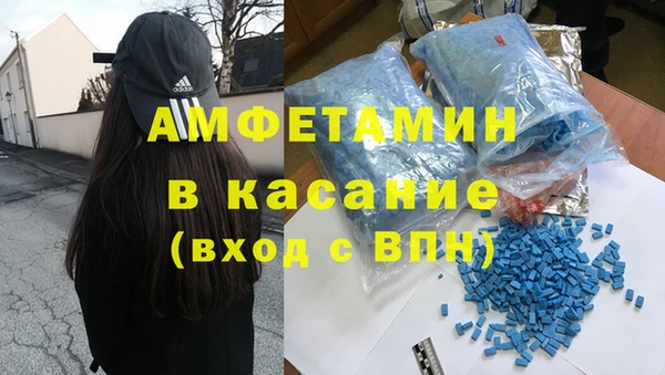индика Арсеньев