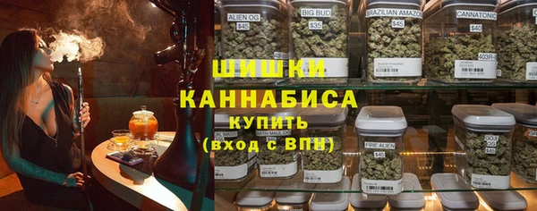 индика Арсеньев