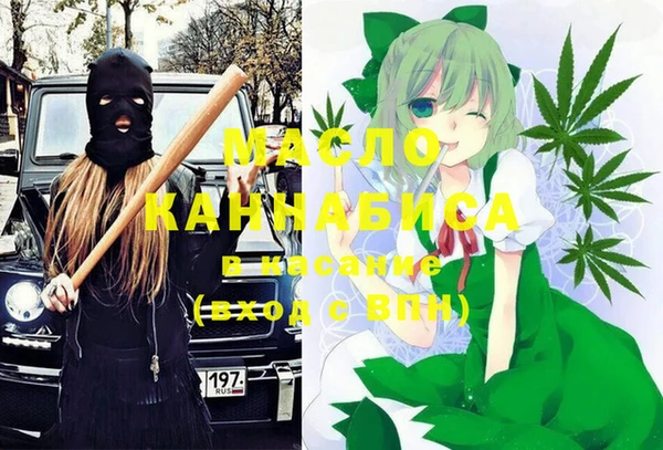 индика Арсеньев