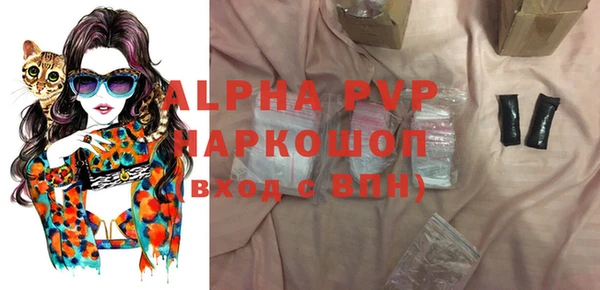 индика Арсеньев