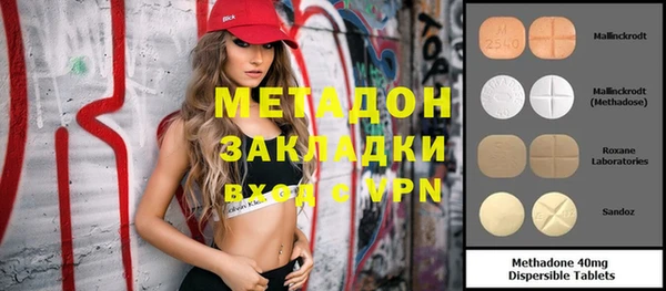 индика Арсеньев
