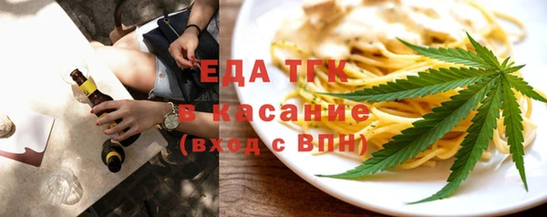 индика Арсеньев